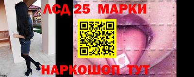 спиды Боровичи
