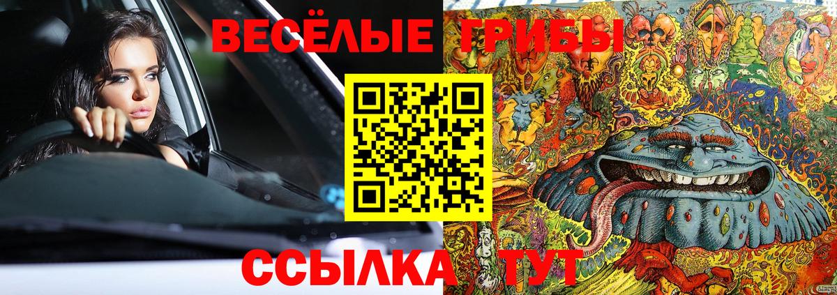 Кыштым  Галлюциногенные грибы Psilocybe  даркнет сайт  Вход с VPN 